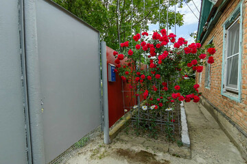 Дом, 85 м², 1 эт.