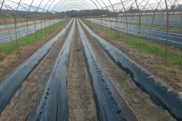 Ведение огородничества, 10 га