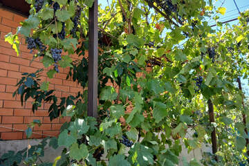 Дом, 100 м², 1 эт.