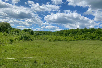 Ведение огородничества, 15 сот.