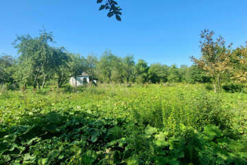 Ведение огородничества, 20 сот.