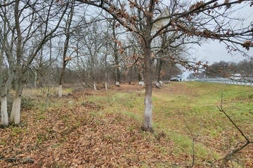 Ведение огородничества, 1,1 га