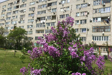 4-к квартира, 78 м², 5/9 эт.