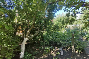 Ведение садоводства, 868 м²