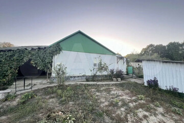 Дом, 53 м², 1 эт.