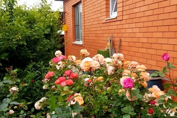 Дом, 104 м², 1 эт.