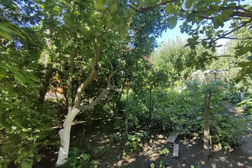 Ведение садоводства, 868 м²