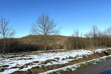 ЛПХ, 13,5 сот.