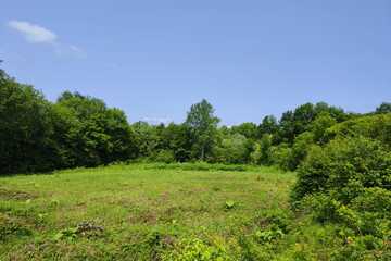 ЛПХ, 12,5 сот.